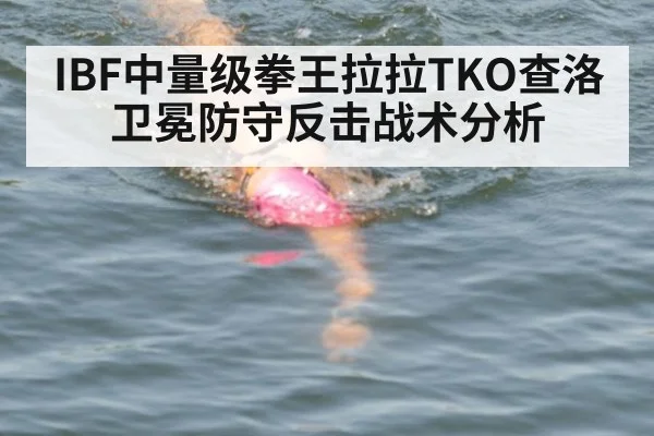 IBF中量级拳王拉拉TKO查洛卫冕防守反击战术分析